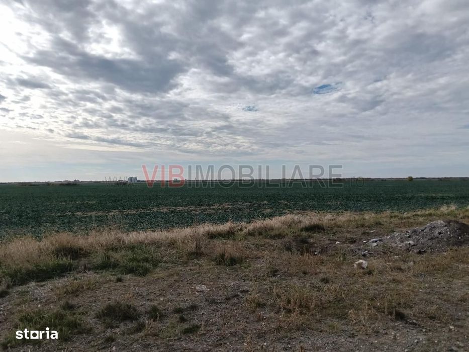 Ferma Agricolă 1.350 HA – Grad de Comasare 96–97%, Județul Arad