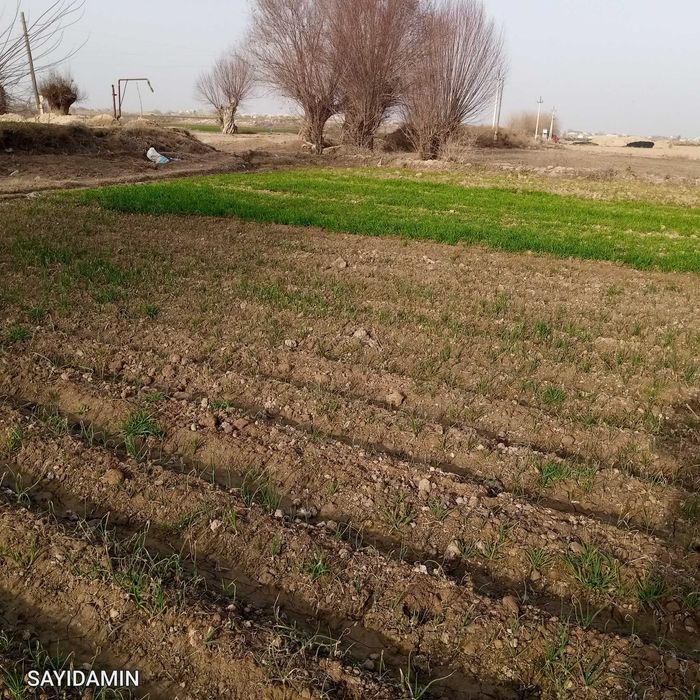 17 Sotix yer qulay joyda