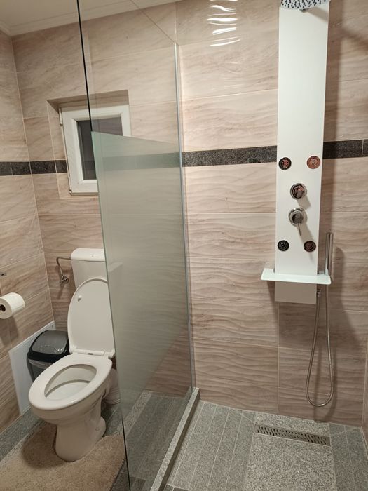 Casa de vacanta/Cabana de inchiriat Vila Vali Suncuius