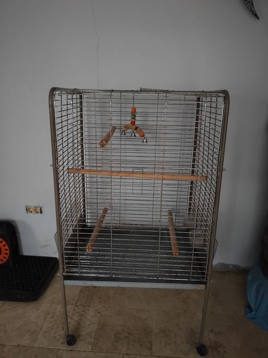 Colivie Papagali Mari