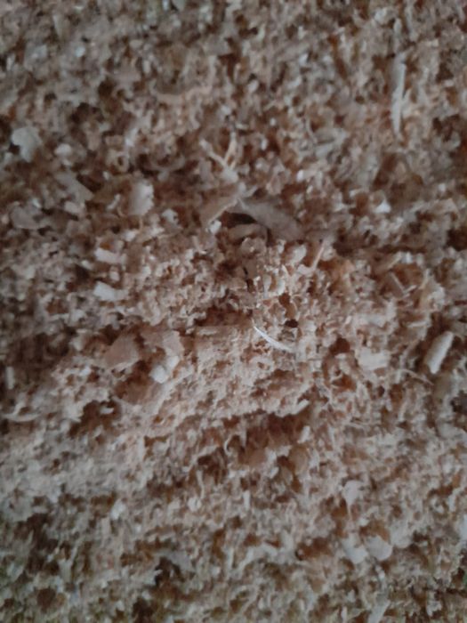 Продам опилки сухие