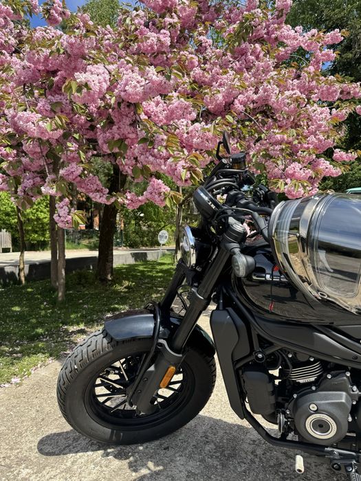 CF MOTO cl-c 450 BOBBER ‘25