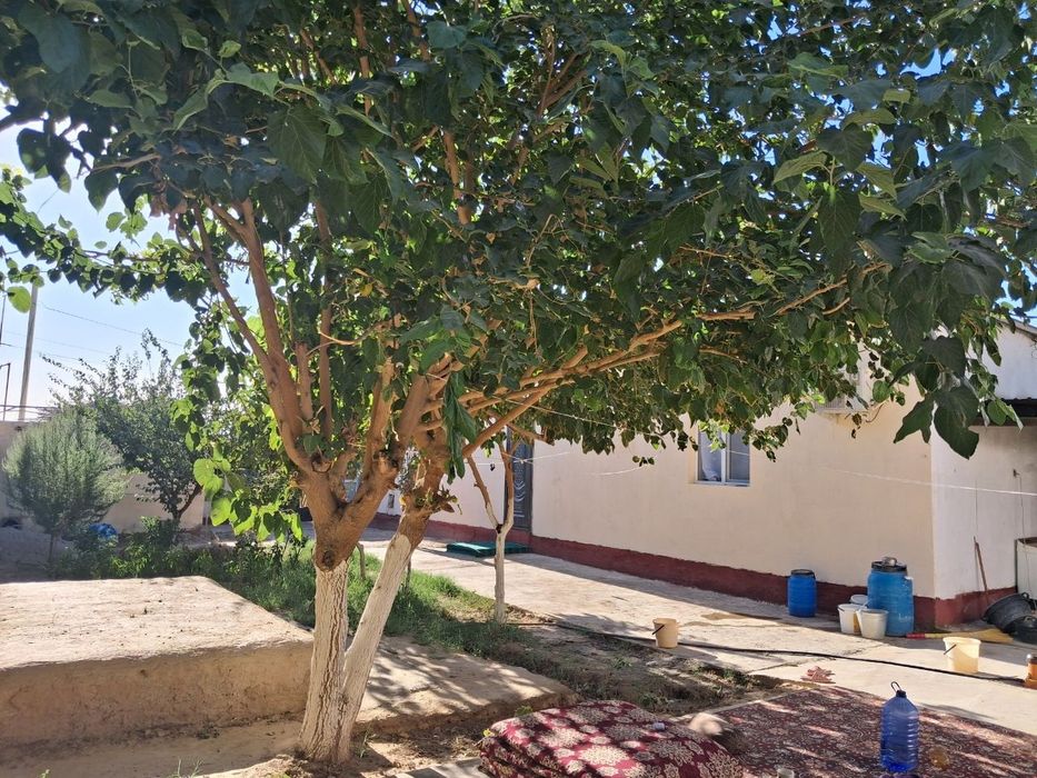Uy sotiladi  Termiz tuman limanaryada