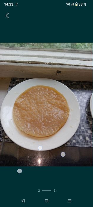Чайный гриб В продаже
