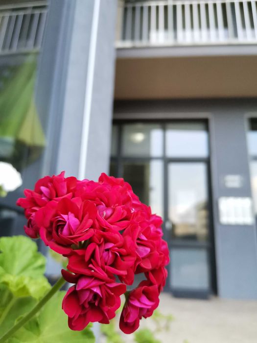 Дава се под наем Тристаен апартамент в к.к. Слънчев бряг - 80 кв.м за 178.5 € - Снимка #5