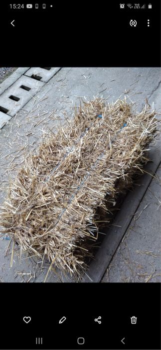 Vand baloti de paie neplouați