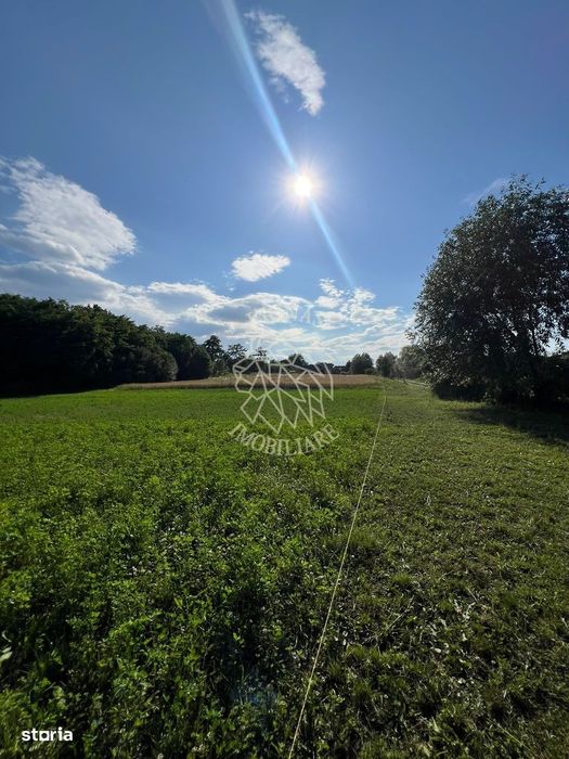 Teren intravilan 6800 mp cu utilitati-Parcelabil-Sieu 21km de Bistrita