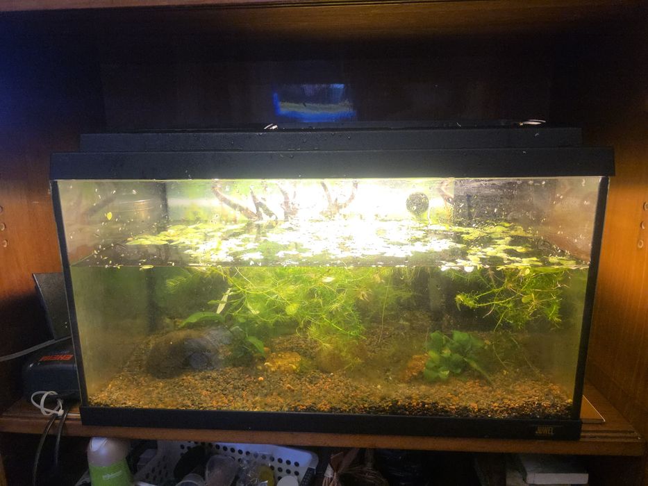 Vand acvariu Juwel 45 l