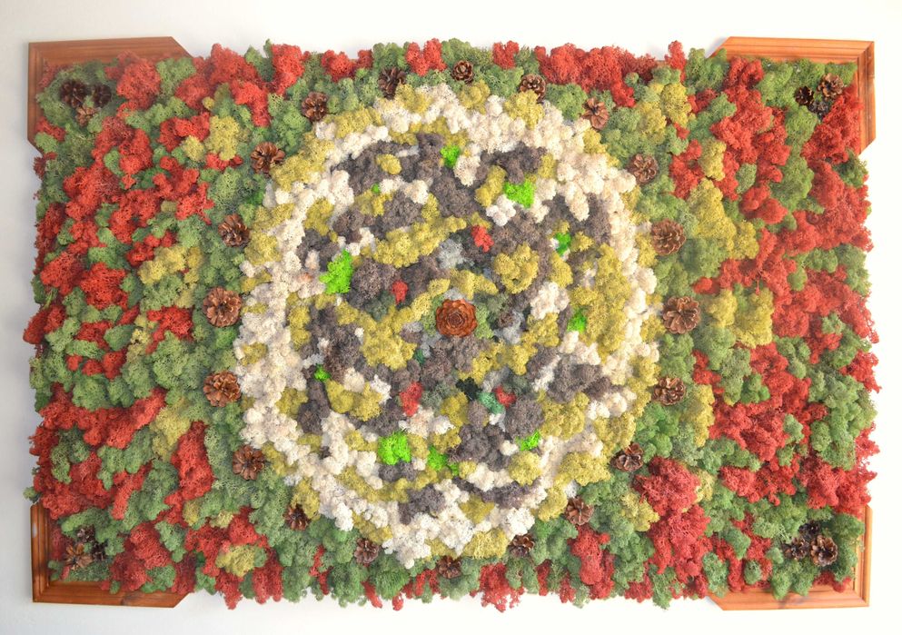 ПАНО със Скандинавски МЪХ