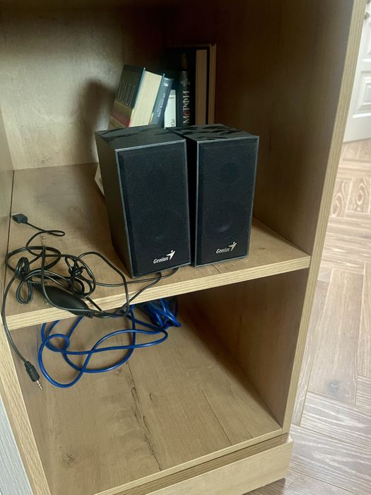 Колонки Genius шикарные
