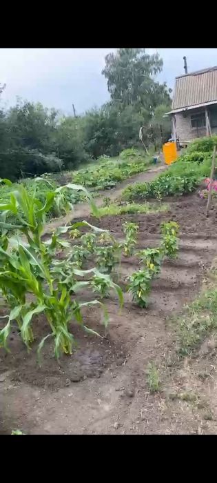 Продам Дачу можно обмен