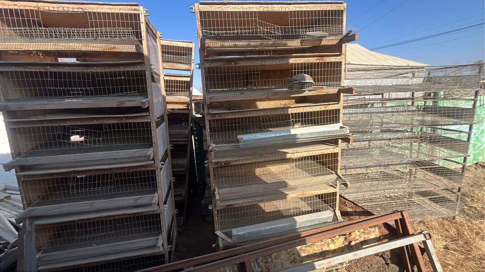 Бөдене клеткалары сатылады