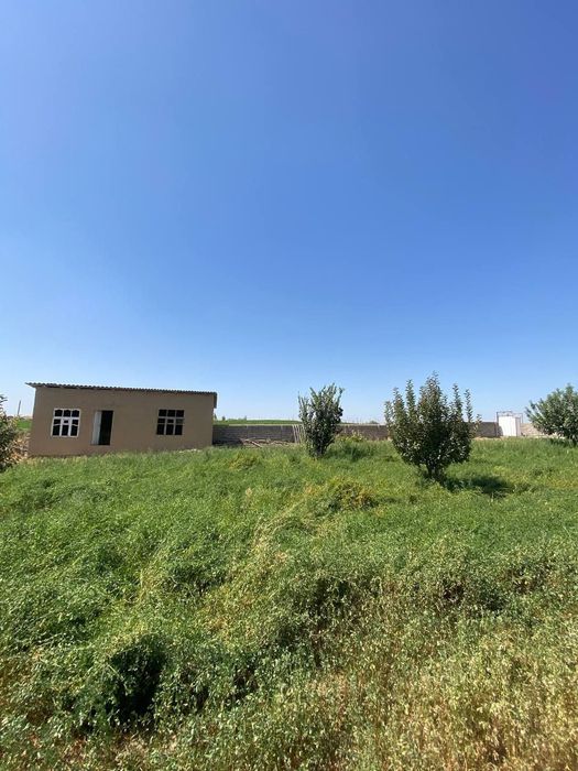 Yer sotiladi 1 sotigi 3500$ 3 sotik bor