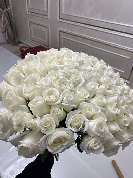 Цветы Шымкент Белый роза. ..