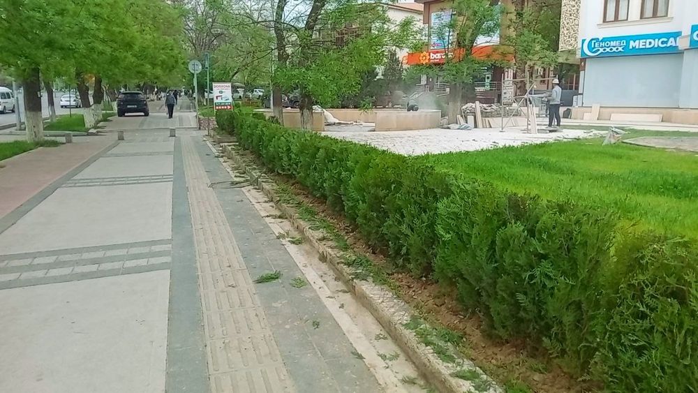 Арча кучатлар сотилади.