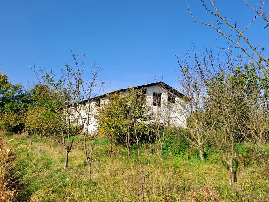 Vând teren intravilan l in suprafața 19000 mp. și hala