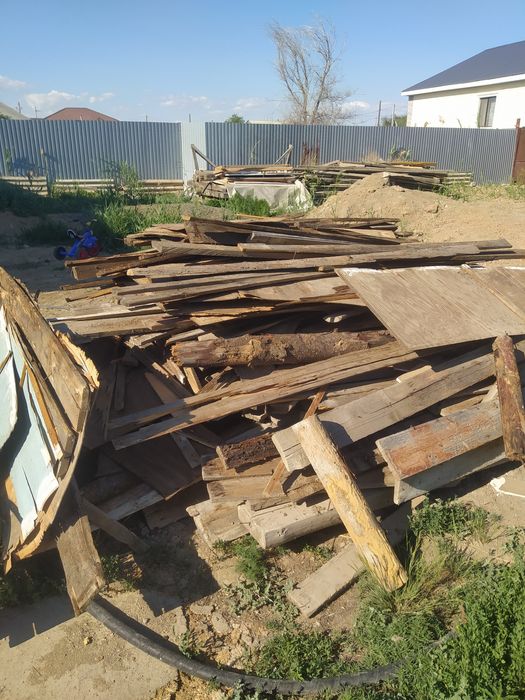 Отынга агаштар бар