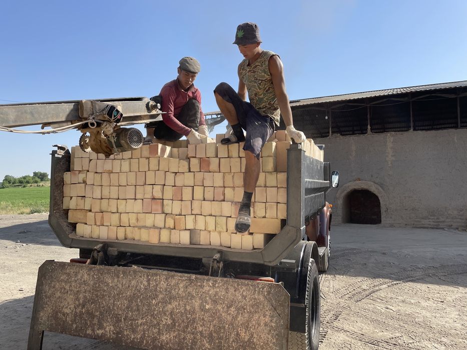 Пишган  гишт