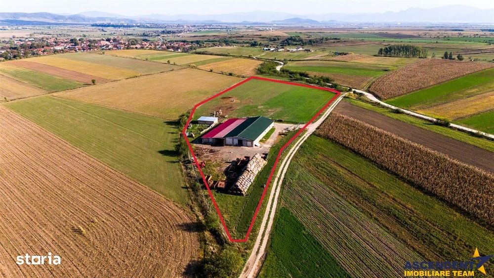 FILM! Zona extinsa, teren mixt,18.000 mp, ideal agro-investitii, Rotba