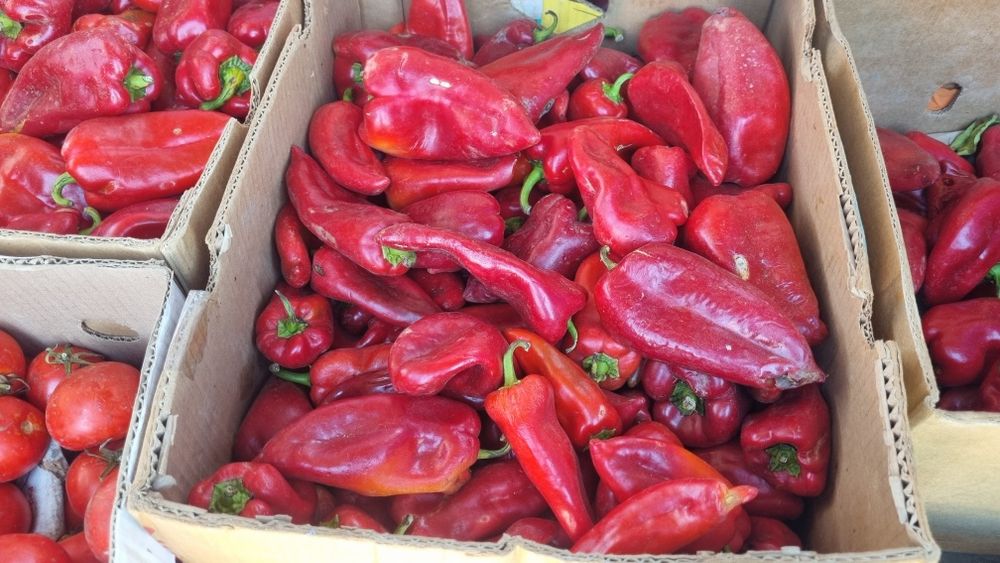 Vand legume, pepeni rosii si galbeni