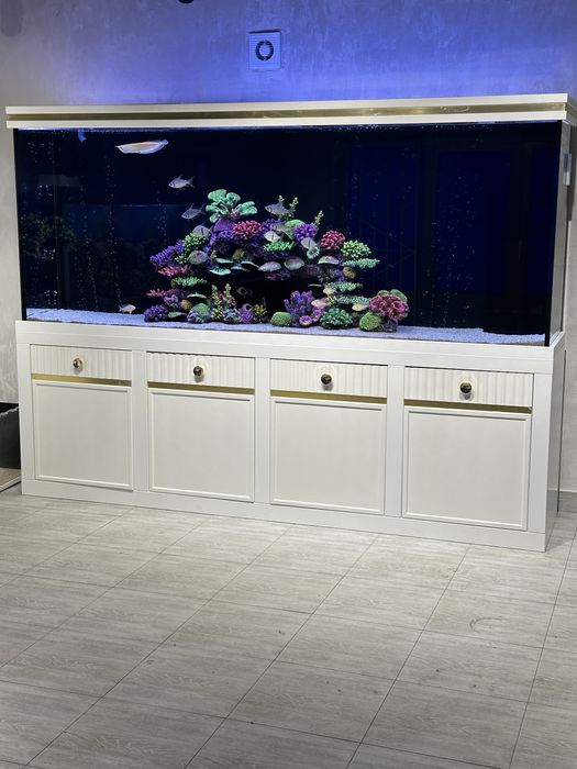 Аквариум на заказ / Akvarium buyurtmaga yashash
