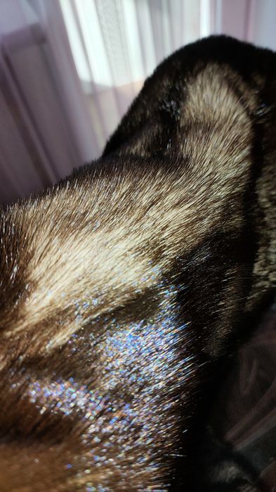 Продам норковую шубу р 42-44