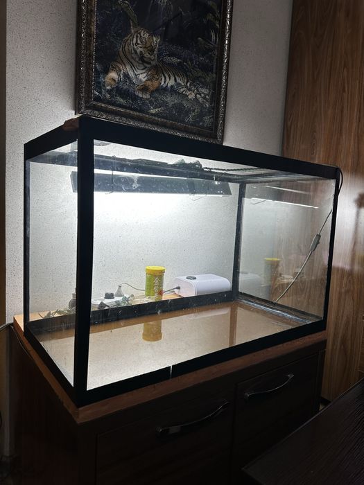 Продам аквариум террариум