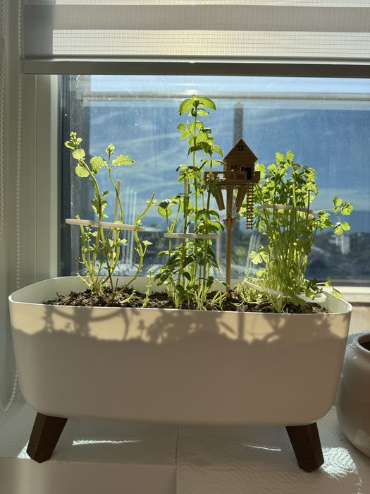 Къщичка на дърво за цвете / Декорация за цветя