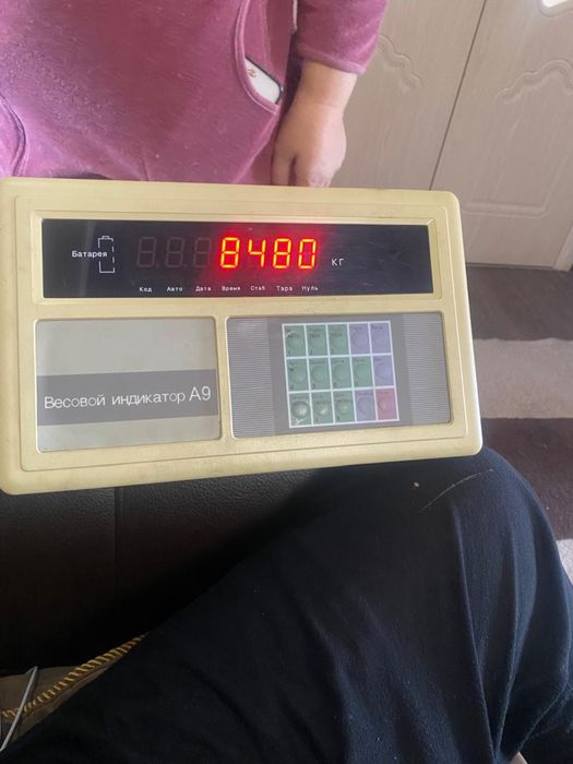 Весы для  автомобилей