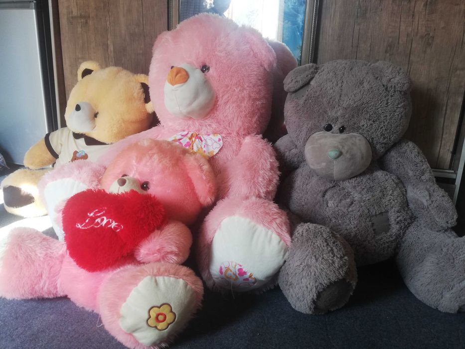 Teddy bear va yumshoq ayiqchalar sotiladi