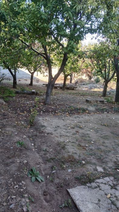 3sotix 1hona  10×30 uchastka sotiladi