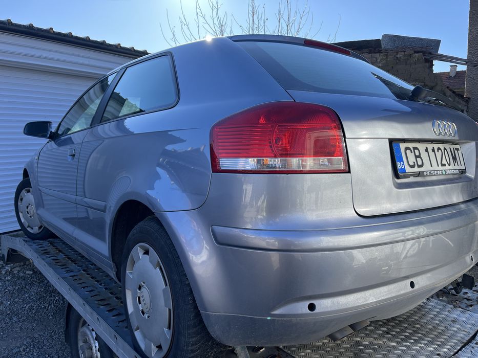 Audi A3 8P 1.9TDI BLS на части