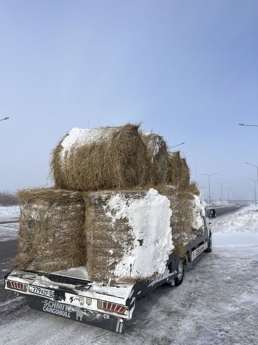 Сено разнотравье