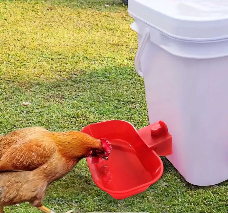 Голяма автоматична поилка