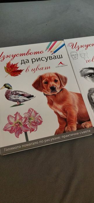 Голямо помагало - Изкуството до рисуваш