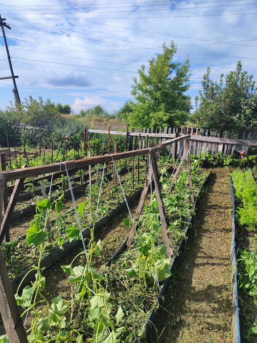 Продам дачу в Черёмушках рядом с речкой