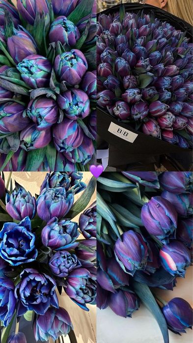 Тюльпаны Караганда