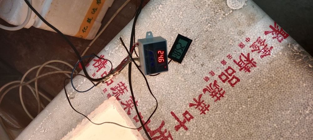 Пенопласт инкубатор