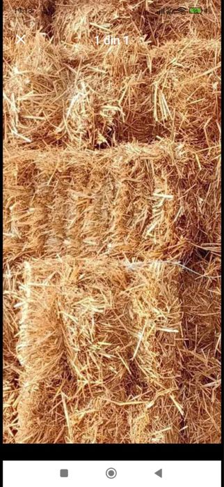 Baloti: Lucerna /Paie/Miriste/Fan.