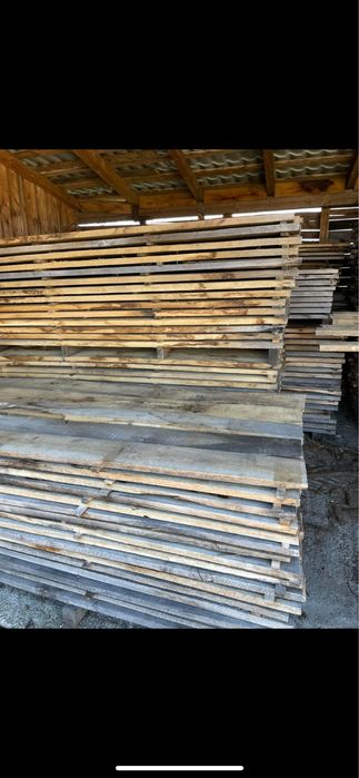 cherestea tivita/netivita