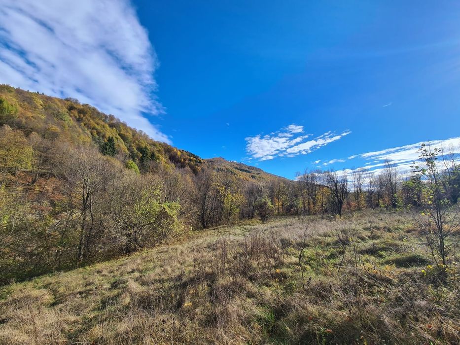 Vand teren Valea  Doftanei in coada lacului Paltinu