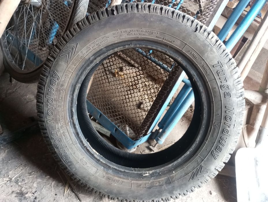 Кшги балон Кам юурган холати жуда яахши сакланган