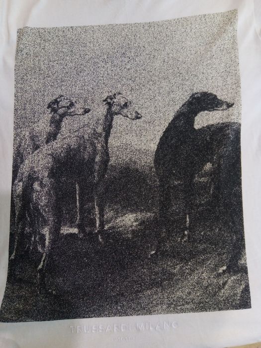 Тениска Трусарди Trussardi Milano размер S култова