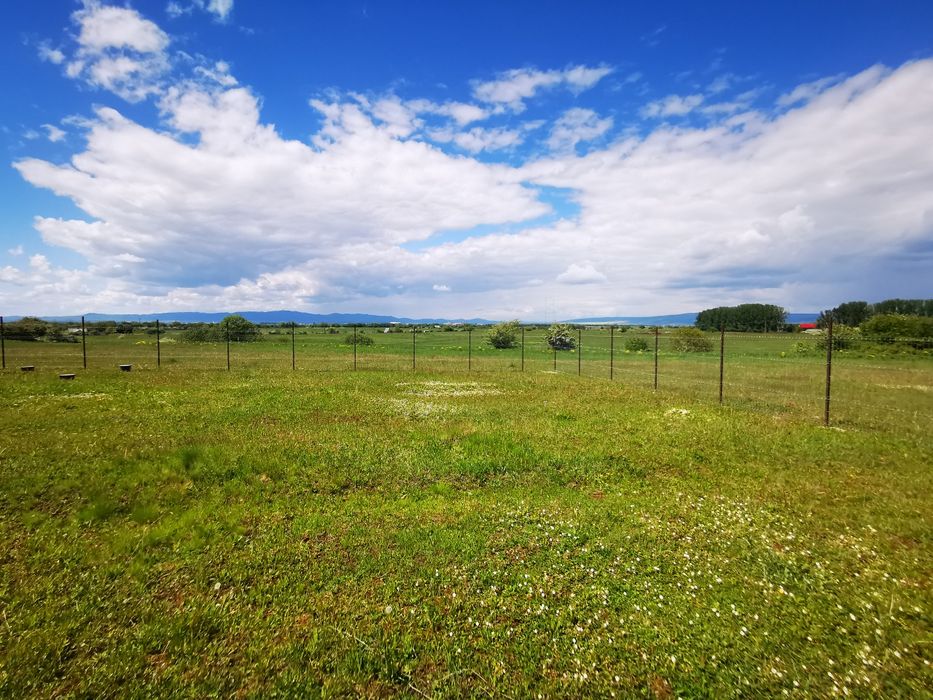 Vând teren intravilan Sânpetru direct proprietar