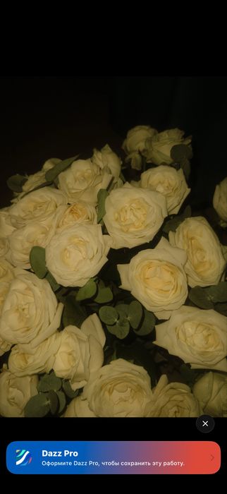 Корзина из 31 роз