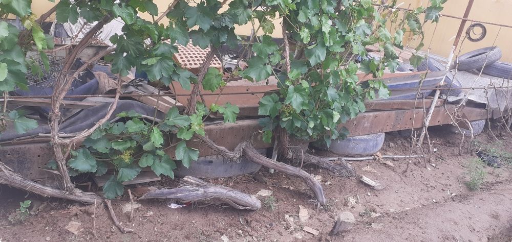 Маз самосвал ва ЗИЛ 131 рама сотилади