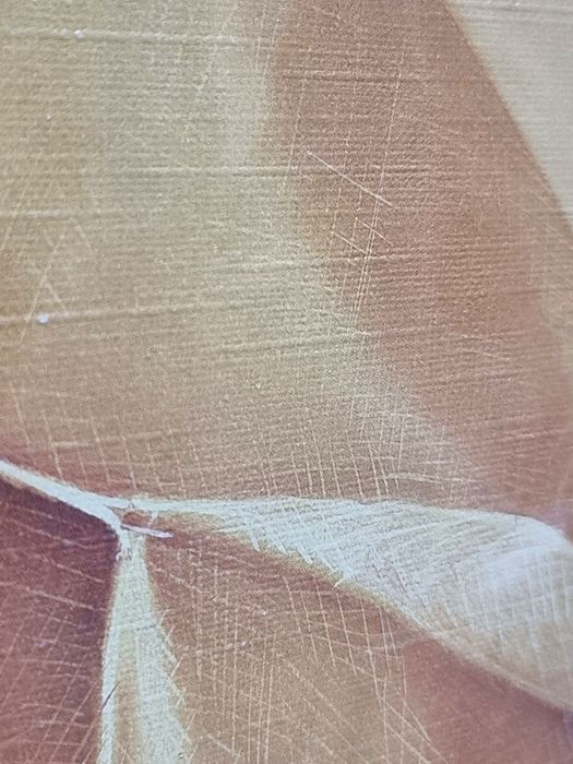 Tablou artistic 57*77