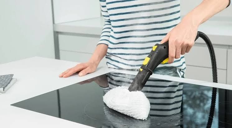 Парогенератор Очиститель паром