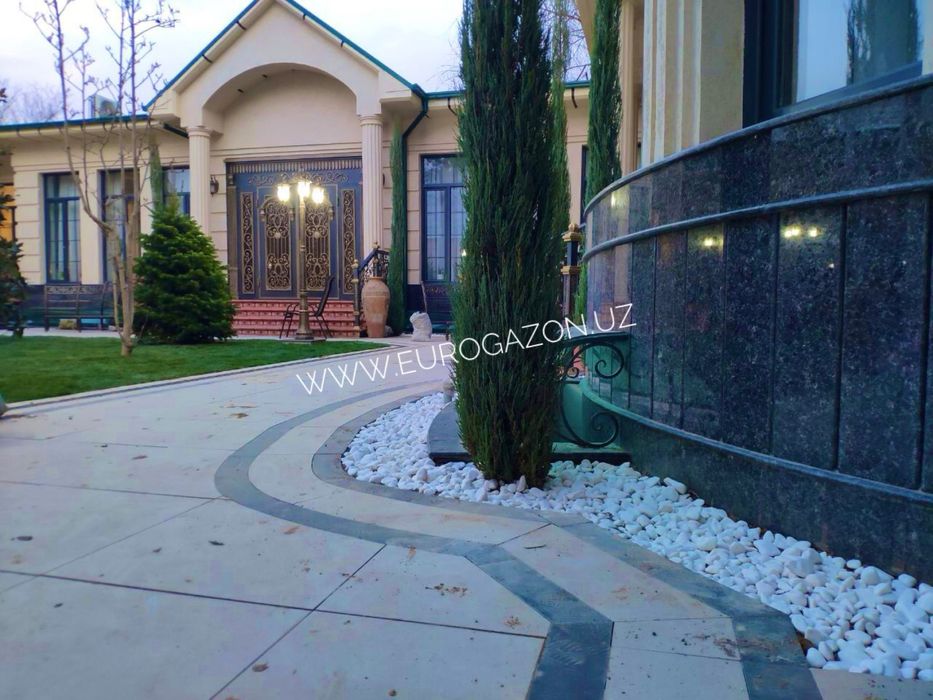 Газон: рулонный и посевной, ландшафтный дизайн, деревья и растения