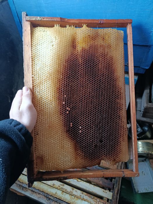 Сушь и рамки для пчел